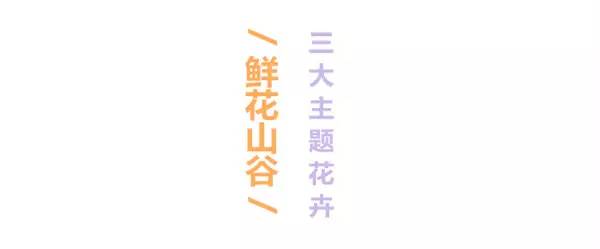 五月相约看蓝色花海,五月相约昆明蓝花楹花海