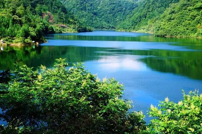 散文花开,散文花开花落