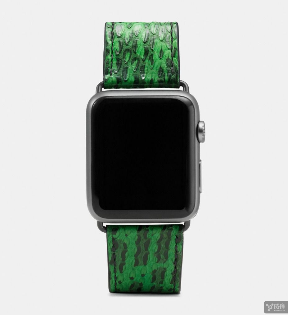 蔻驰applestraps手表,蔻驰苹果表带
