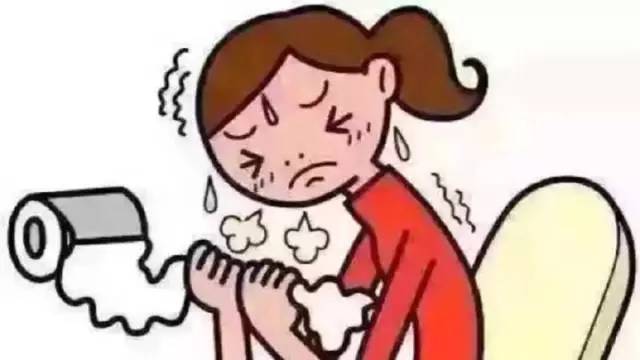 紫苏叶对便秘人群有什么帮助,便秘人群喝生普好还是熟普好