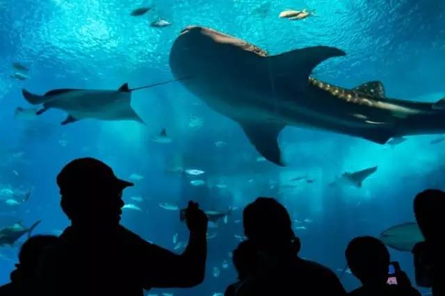 出国旅游关岛,日本冲绳三年旅游签证办理攻略