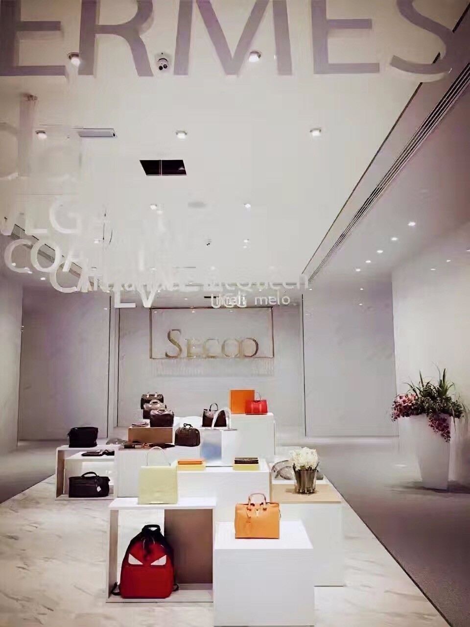 寺库CEO陈建豪：建立1500万会员社交圈，实现奢侈品精准营销｜浑水独家