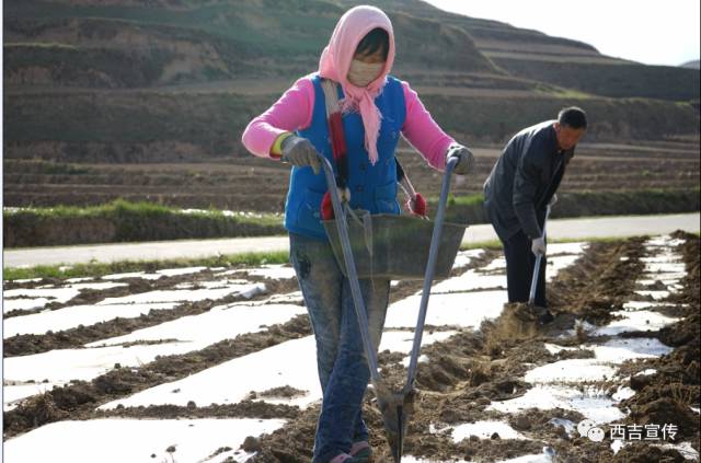探寻劳动之美,诠释劳动之美