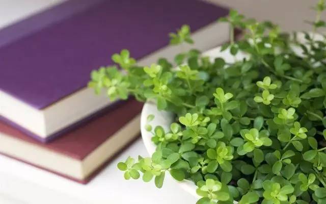 专题｜做一个专业的“领读者”