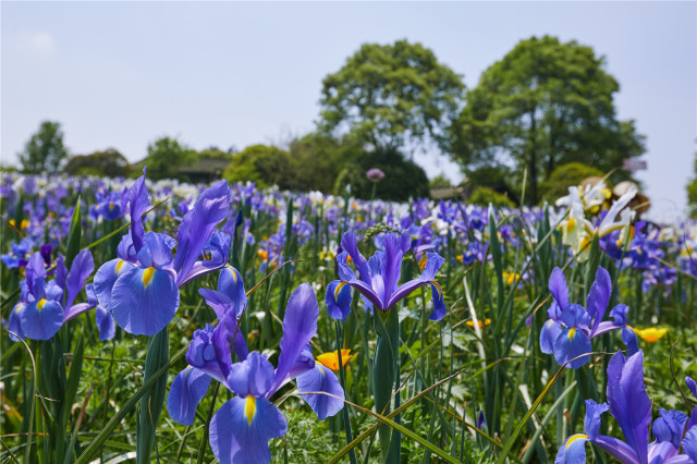成都去石象湖的游玩攻略,成都石象湖门票哪个月去最佳