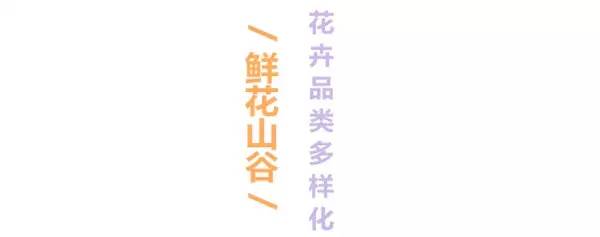 五月相约看蓝色花海,五月相约昆明蓝花楹花海