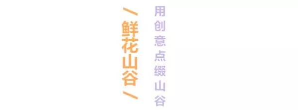 五月相约看蓝色花海,五月相约昆明蓝花楹花海