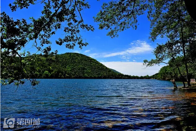 成都龙泉樱桃采摘地点附近,成都樱桃枇杷都能摘的地方