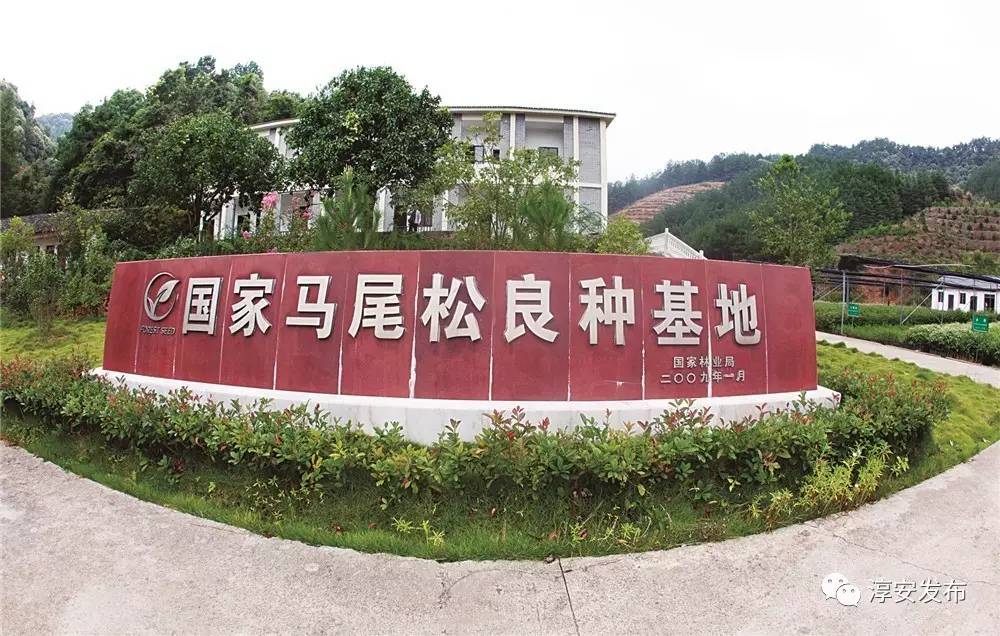 厉害了！淳安这个团队曾破解多个世界性难题，“五一”前又拿到国家级荣誉