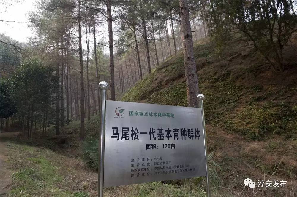 厉害了！淳安这个团队曾破解多个世界性难题，“五一”前又拿到国家级荣誉