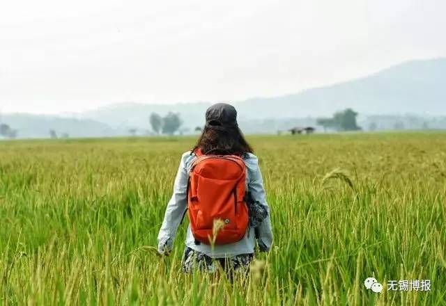 有没有可以环游世界的工作,什么工作可以边赚钱边环游世界