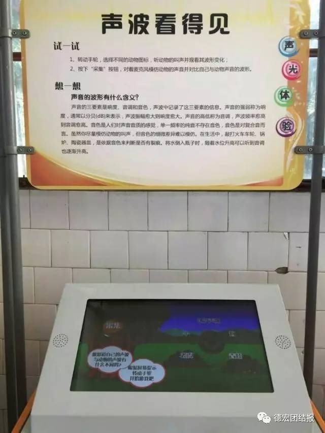 小朋友科技展作品,科技展小朋友