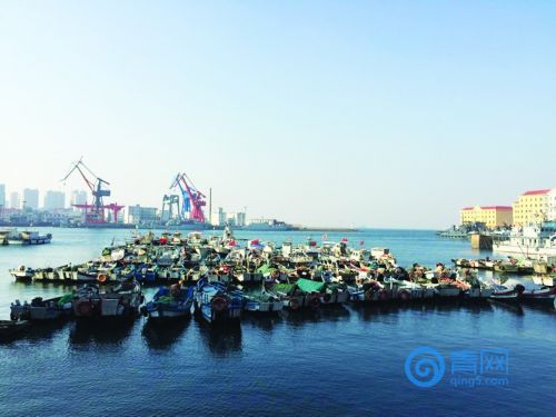 我国海钓需要办证吗,海钓证在哪里办理