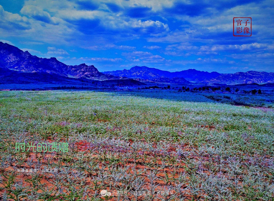 闾山四月梨花似海,源于大朝阳梨花老祖
