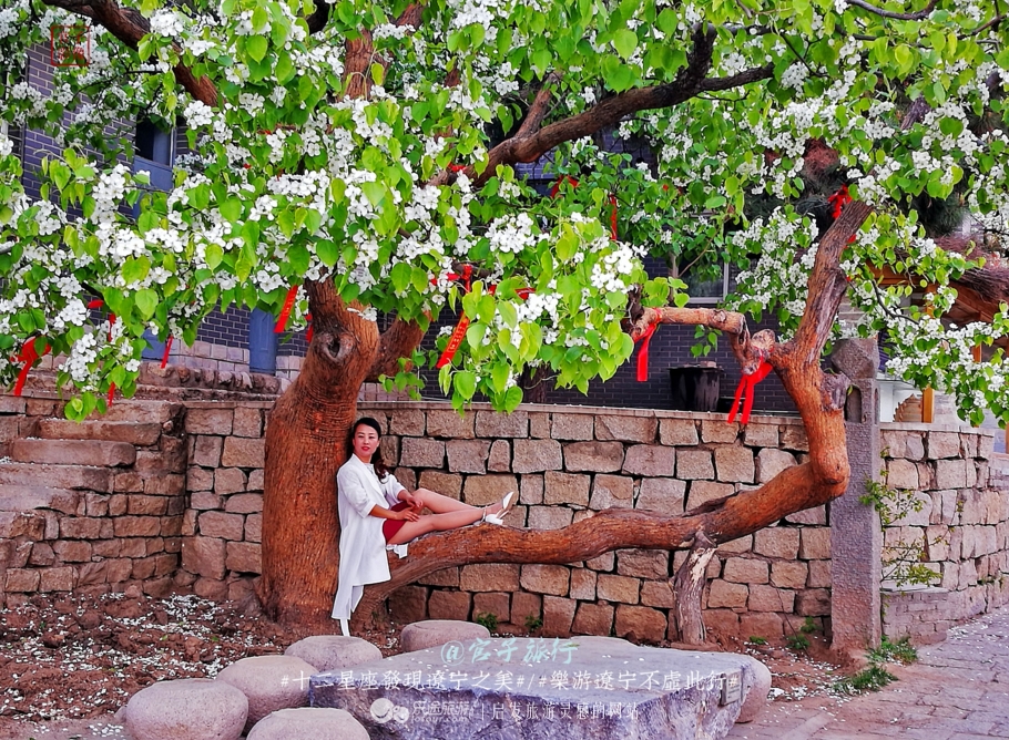 闾山四月梨花似海,源于大朝阳梨花老祖