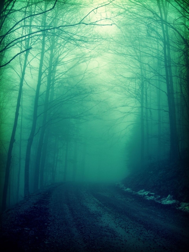 50八卦丨西雅图:甜美浪漫不夜城