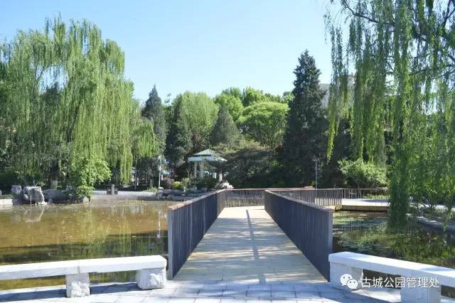 北京石景山国际雕塑公园开放了吗,石景山城市绿雕翻新