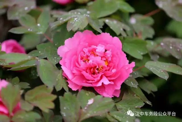 微微一调有变化:汉中车务段管内主要车站最新列车时刻