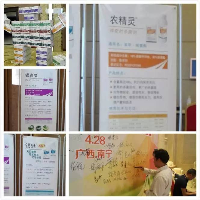 从产业的高度关注作物,关注香蕉,银农科技就这么做了