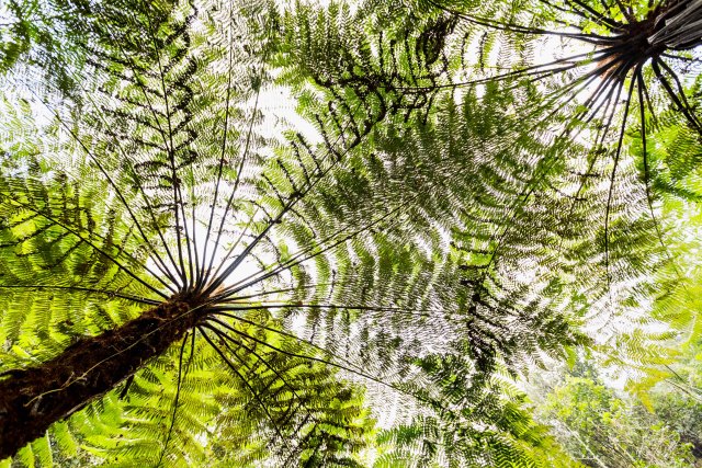 成都去石象湖的游玩攻略,成都石象湖门票哪个月去最佳