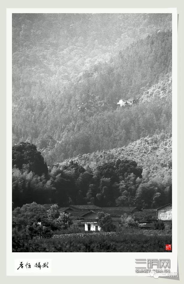 三明老照片视频,正宗三明老照片