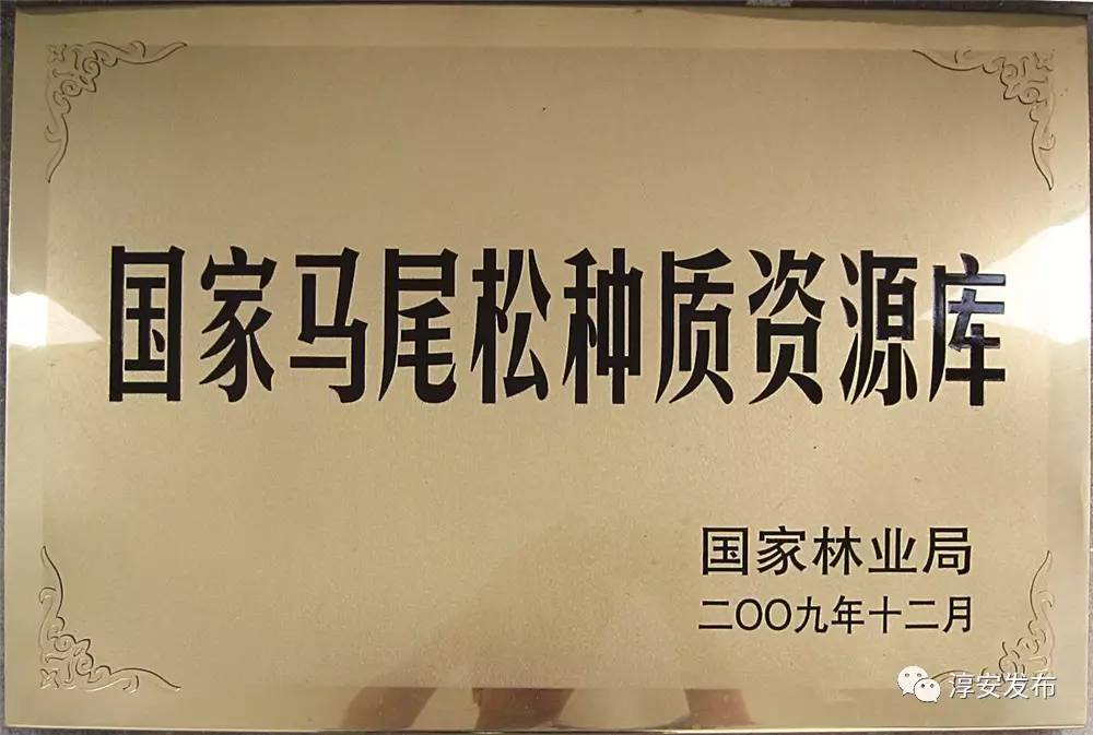 厉害了！淳安这个团队曾破解多个世界性难题，“五一”前又拿到国家级荣誉