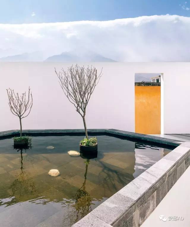 重回大理三|你住的客栈的主人,也是有故事的人!(赢房券)