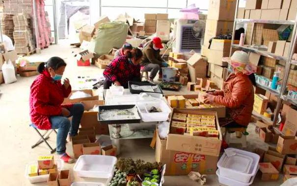 全国第三,江苏第一!阿里研究院公布的这个榜单,告诉你沭阳的实力!