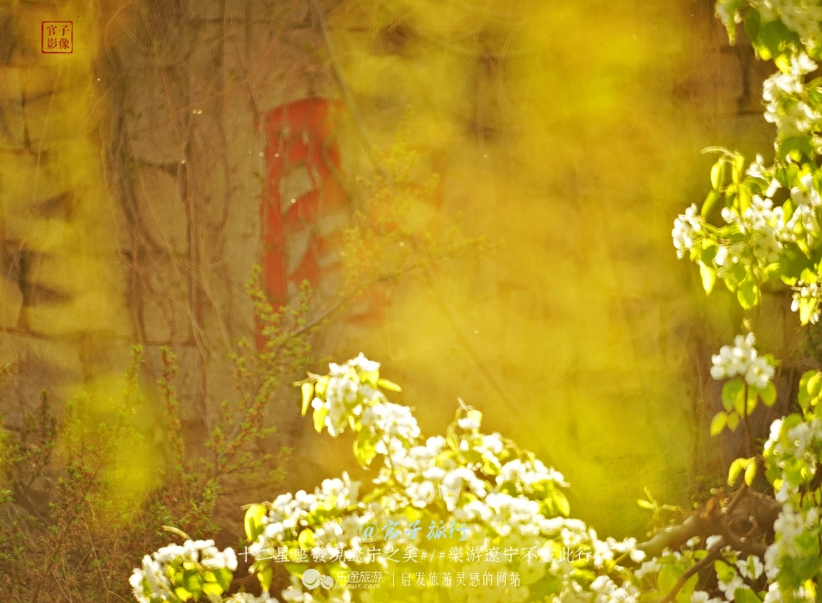 闾山四月梨花似海,源于大朝阳梨花老祖