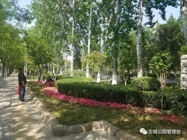 北京石景山国际雕塑公园开放了吗,石景山城市绿雕翻新