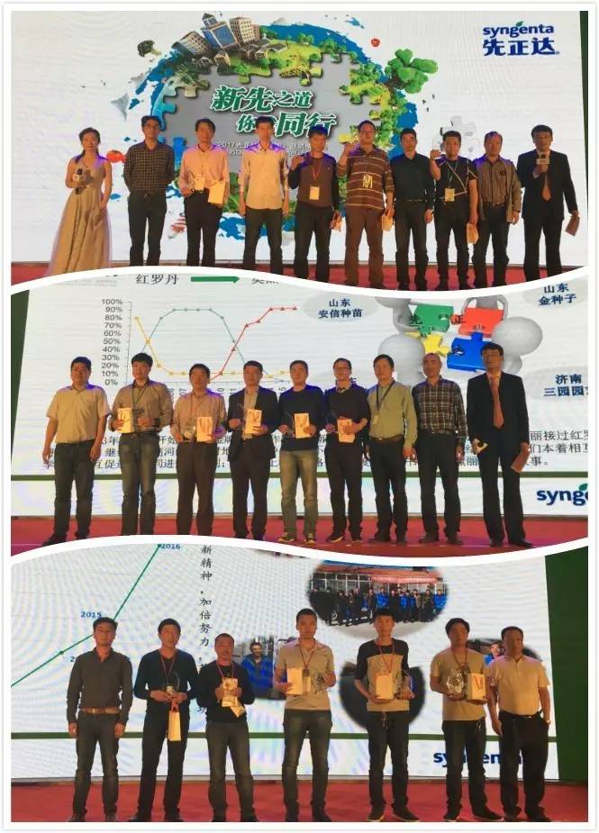 先正达24大蔬菜新品种,先正达蔬菜新品种