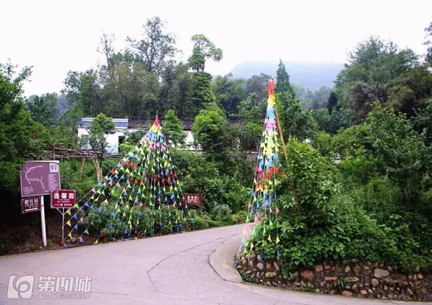 成都龙泉樱桃采摘地点附近,成都樱桃枇杷都能摘的地方