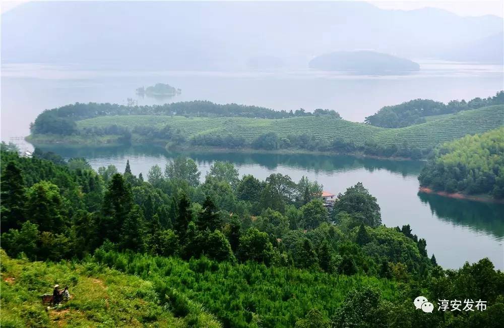 厉害了！淳安这个团队曾破解多个世界性难题，“五一”前又拿到国家级荣誉