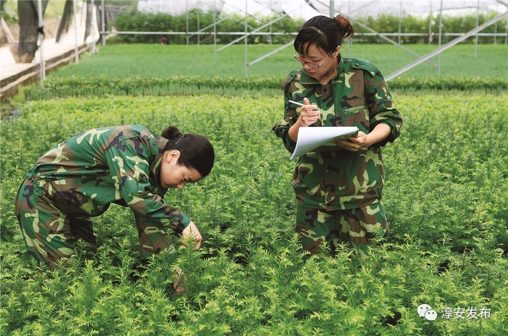 厉害了！淳安这个团队曾破解多个世界性难题，“五一”前又拿到国家级荣誉