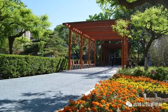 北京石景山国际雕塑公园开放了吗,石景山城市绿雕翻新