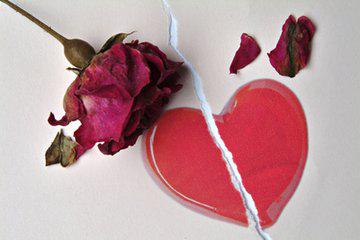 p2p理财平台蜂融网,p2p理财网哪个好