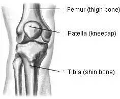 膝盖损伤与恢复大全,膝盖软骨损伤怎么恢复