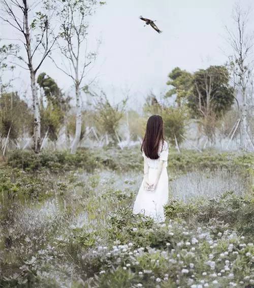 弘一法师最经典的歌曲,弘一法师的歌曲经典