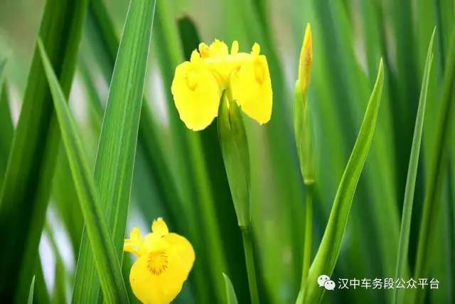 微微一调有变化:汉中车务段管内主要车站最新列车时刻