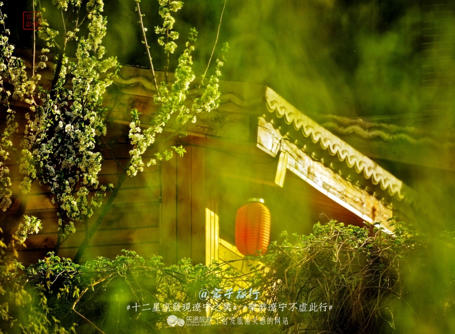 闾山四月梨花似海,源于大朝阳梨花老祖