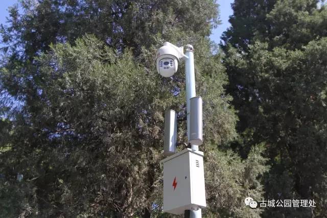 北京石景山国际雕塑公园开放了吗,石景山城市绿雕翻新