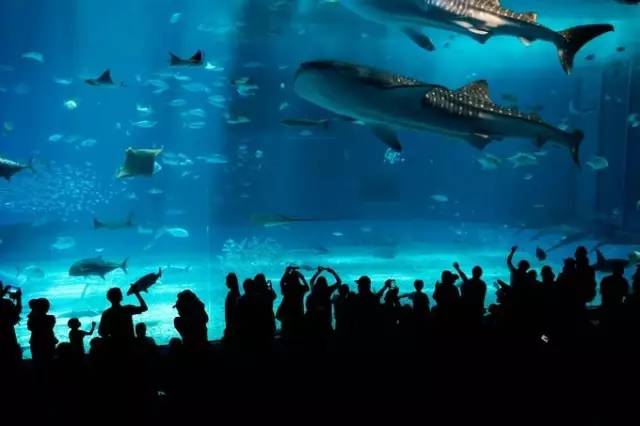 出国旅游关岛,日本冲绳三年旅游签证办理攻略