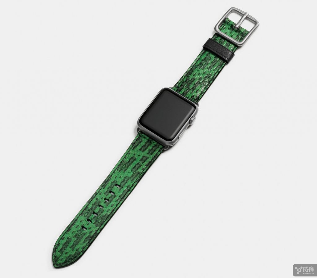 蔻驰applestraps手表,蔻驰苹果表带