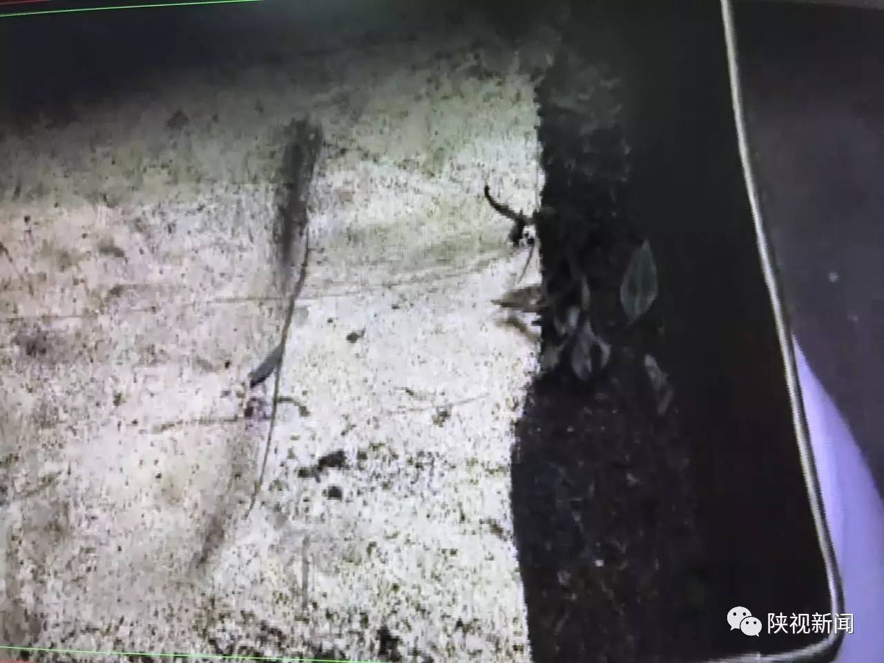 西安乱倒垃圾规定时间,西安市生活垃圾清运时间规定