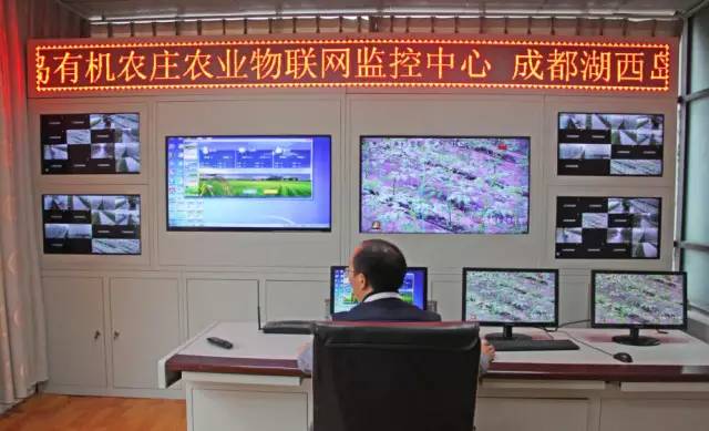 城事｜小作物+大数据湖西岛有机农庄构筑农业创新“最强大脑”