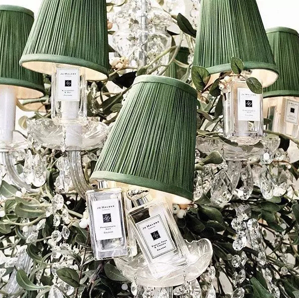 昕薇什么牌子,昕薇有几种