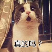 扎心了！出入境旅游，这些东西千万不要带！建议收藏