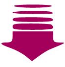 母亲节送康乃馨，都送错了？中国“母亲花”原来是它！