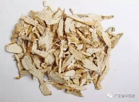 「每日一膳」桑树浑身都是宝，这个部位更有泻肺平喘，止咳消肿的作用！看广东省中医院杨志敏教授今日推荐