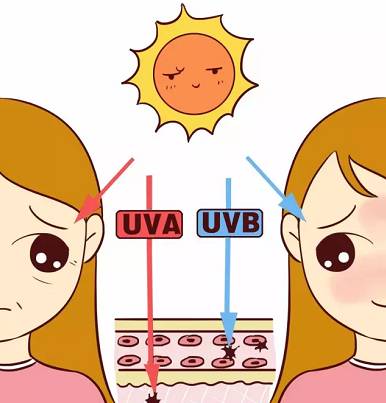 十大公认好用的防晒霜都有哪些,十大公认好用的防晒霜评测